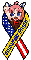 Support the Troops